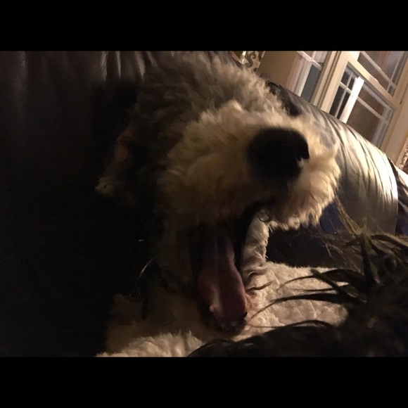 Meet your Posher, Bill - Picture 1 of 1